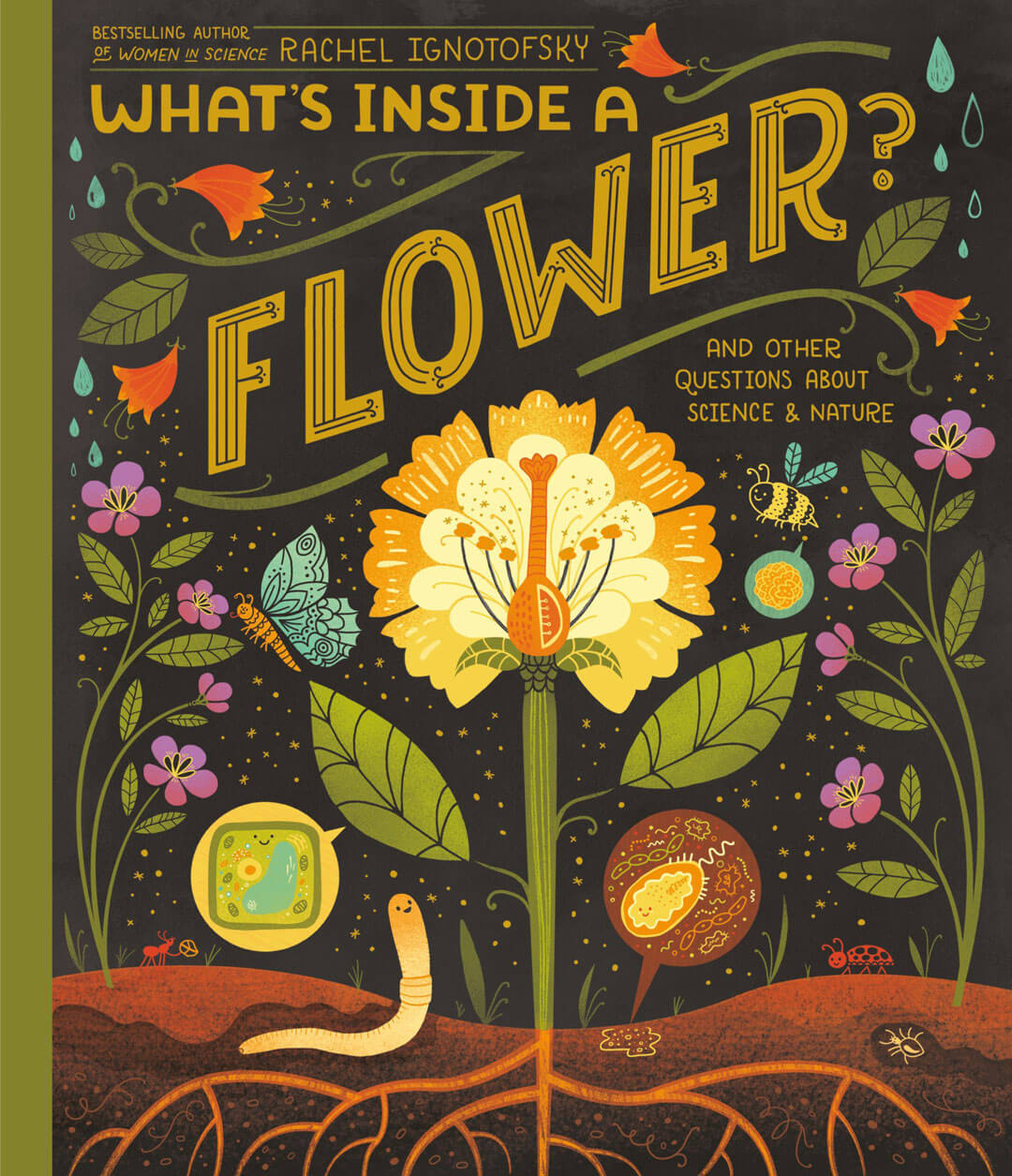 Photo for Whats Inside a Flower And Other Questions About Science  Nature